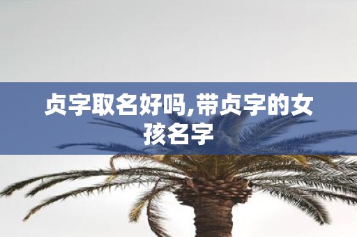 贞字取名好吗,带贞字的女孩名字