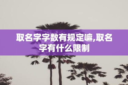 取名字字数有规定嘛,取名字有什么限制