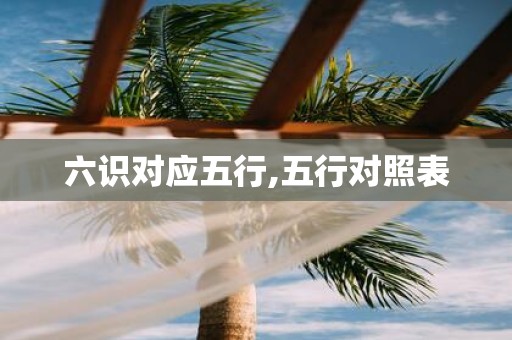 六识对应五行,五行对照表