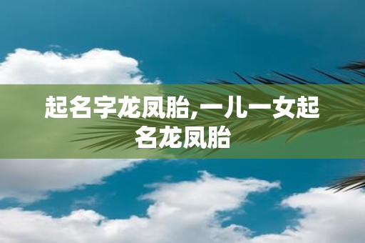 起名字龙凤胎,一儿一女起名龙凤胎