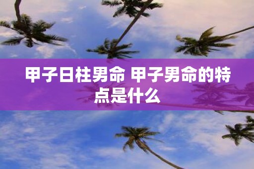 甲子日柱男命 甲子男命的特点是什么