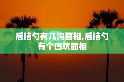 后脑勺有几沟面相,后脑勺有个凹坑面相