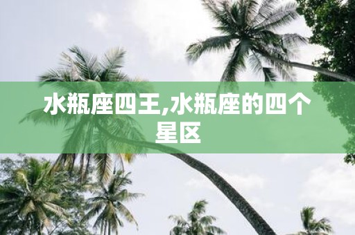 水瓶座四王,水瓶座的四个星区