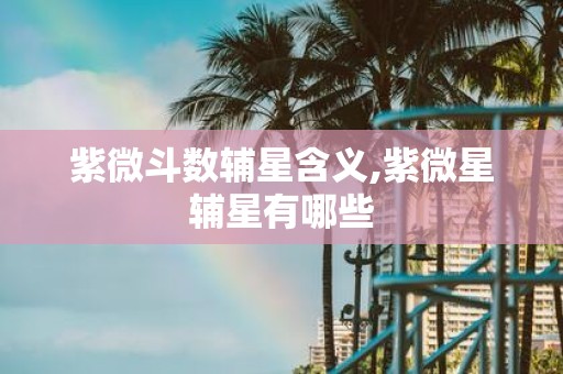 紫微斗数辅星含义,紫微星辅星有哪些