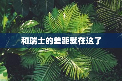 和瑞士的差距就在这了