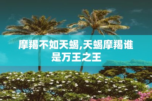 摩羯不如天蝎,天蝎摩羯谁是万王之王