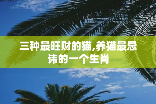 三种最旺财的猫,养猫最忌讳的一个生肖