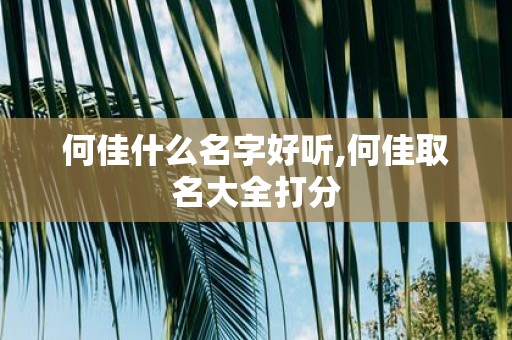 何佳什么名字好听,何佳取名大全打分