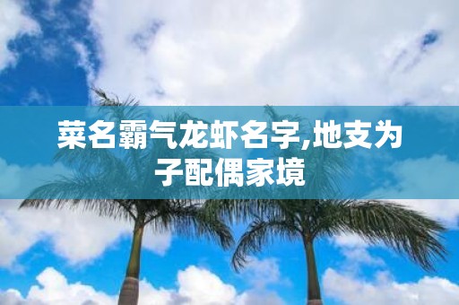 菜名霸气龙虾名字,地支为子配偶家境