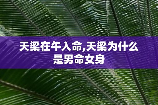 天梁在午入命,天梁为什么是男命女身