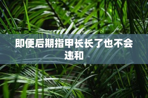 即便后期指甲长长了也不会违和