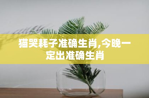 猫哭耗子准确生肖,今晚一定出准确生肖