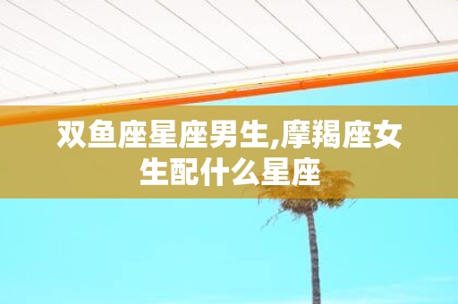 双鱼座星座男生,摩羯座女生配什么星座
