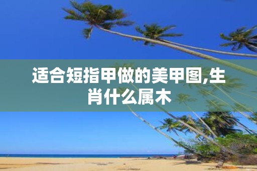 适合短指甲做的美甲图,生肖什么属木