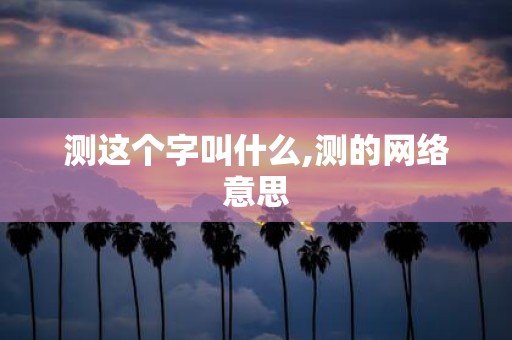 测这个字叫什么,测的网络意思