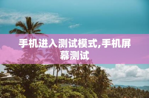 手机进入测试模式,手机屏幕测试