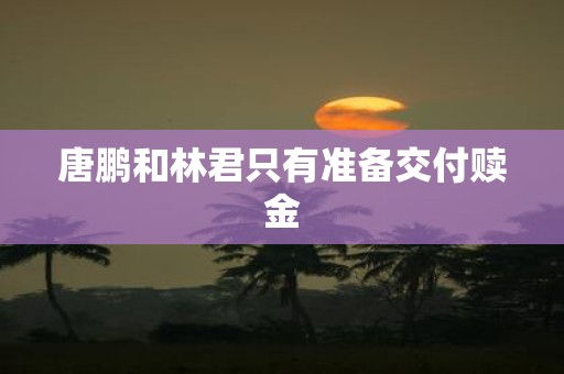 唐鹏和林君只有准备交付赎金