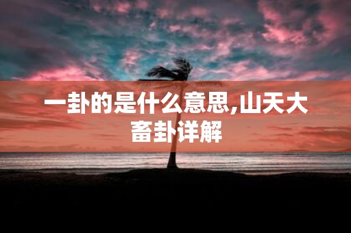 一卦的是什么意思,山天大畜卦详解