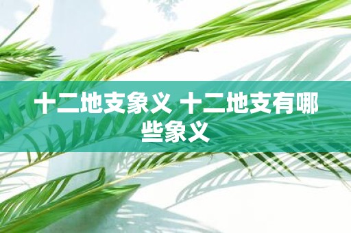 十二地支象义 十二地支有哪些象义