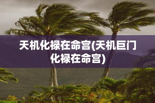 天机化禄在命宫(天机巨门化禄在命宫) 天机化禄在命宫(天机巨门化禄在命宫)