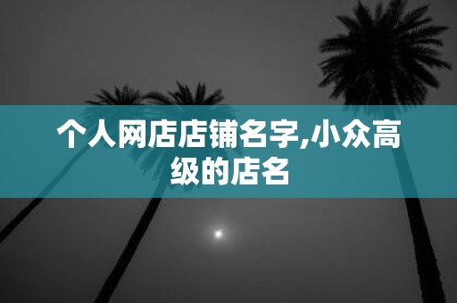 个人网店店铺名字,小众高级的店名