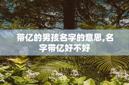 带亿的男孩名字的意思,名字带亿好不好