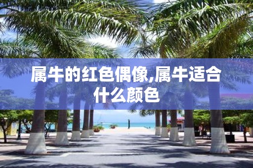 属牛的红色偶像,属牛适合什么颜色