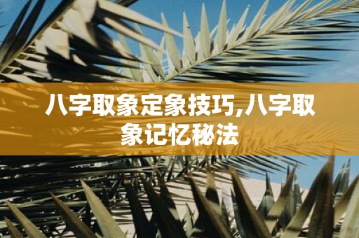 八字取象定象技巧,八字取象记忆秘法