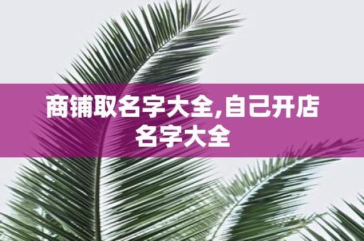 商铺取名字大全,自己开店名字大全