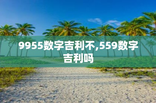 9955数字吉利不,559数字吉利吗