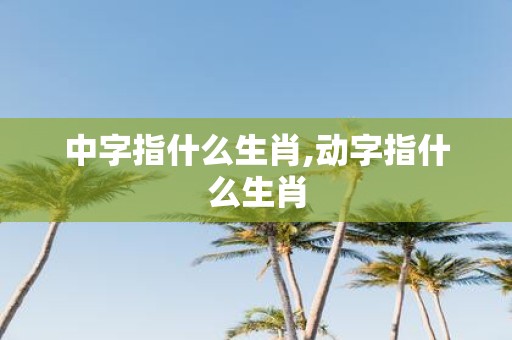 中字指什么生肖,动字指什么生肖