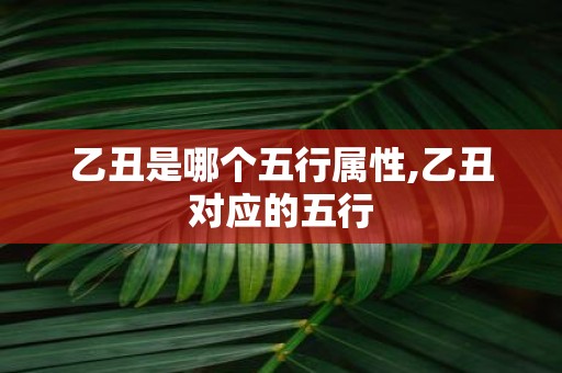 乙丑是哪个五行属性,乙丑对应的五行