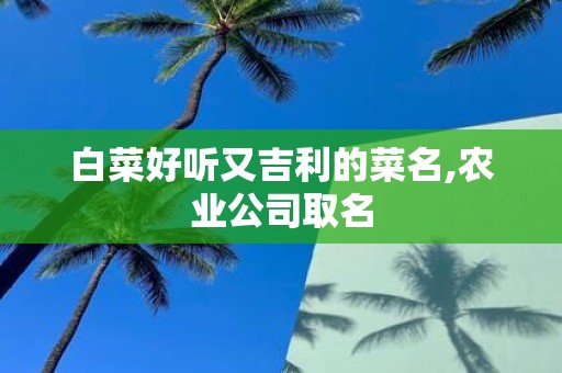 白菜好听又吉利的菜名,农业公司取名