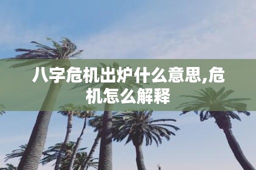 八字危机出炉什么意思,危机怎么解释