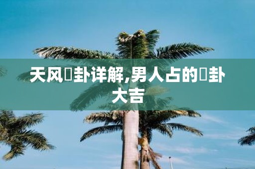 天风姤卦详解,男人占的姤卦大吉