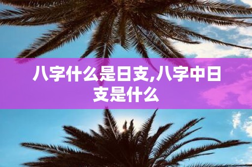 八字什么是日支,八字中日支是什么