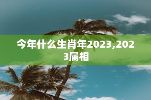 今年什么生肖年2025,2025属相