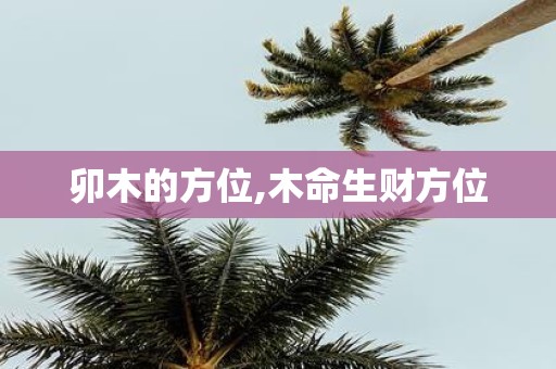 卯木的方位,木命生财方位