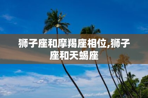 狮子座和摩羯座相位,狮子座和天蝎座