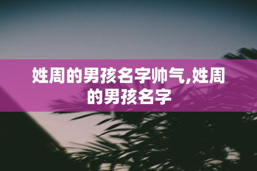 姓周的男孩名字帅气,姓周的男孩名字