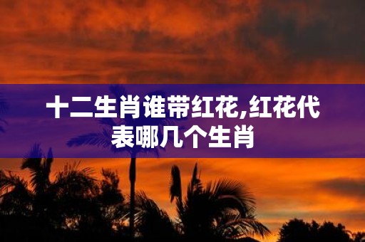 十二生肖谁带红花,红花代表哪几个生肖