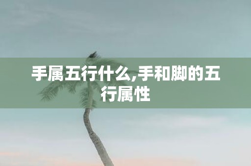 手属五行什么,手和脚的五行属性