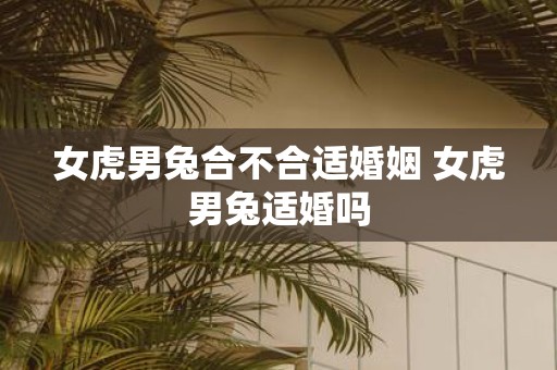 女虎男兔合不合适婚姻 女虎男兔适婚吗