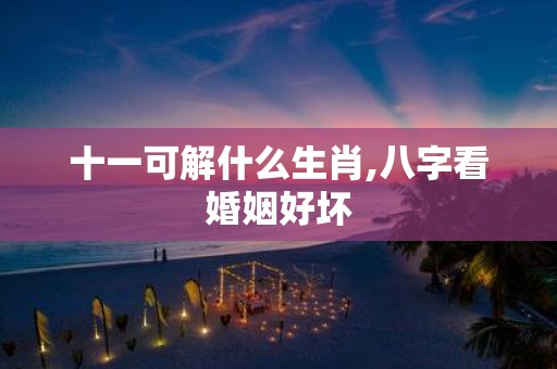 十一可解什么生肖,八字看婚姻好坏