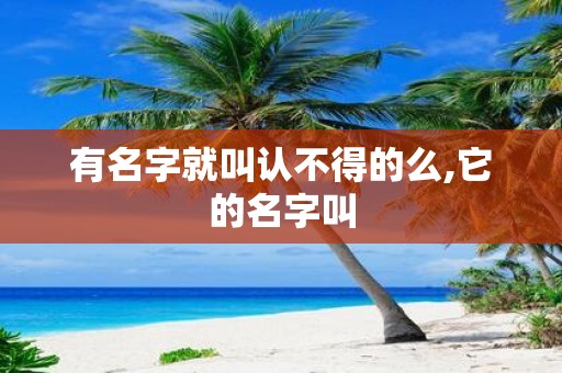 有名字就叫认不得的么,它的名字叫
