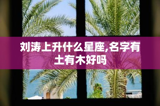 刘涛上升什么星座,名字有土有木好吗