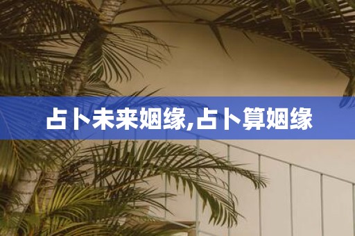 占卜未来姻缘,占卜算姻缘