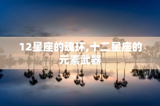 12星座的魂环,十二星座的元素武器
