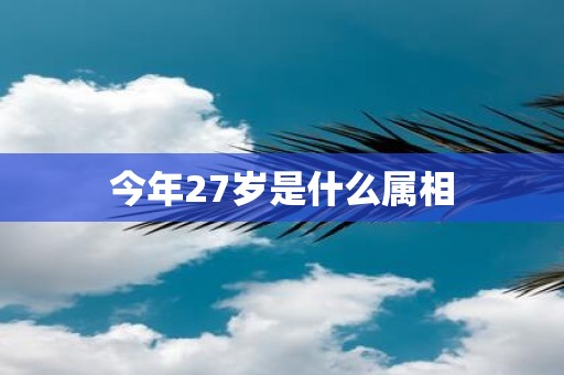 今年27岁是什么属相