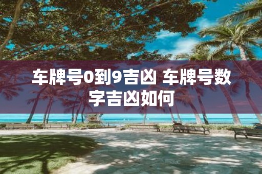 车牌号0到9吉凶 车牌号数字吉凶如何
